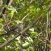Thumbnail of related posts 094