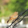 Thumbnail of related posts 071