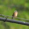 Thumbnail of related posts 127