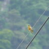 Thumbnail of related posts 198