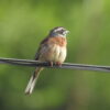 Thumbnail of related posts 083