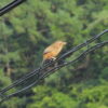 Thumbnail of related posts 094