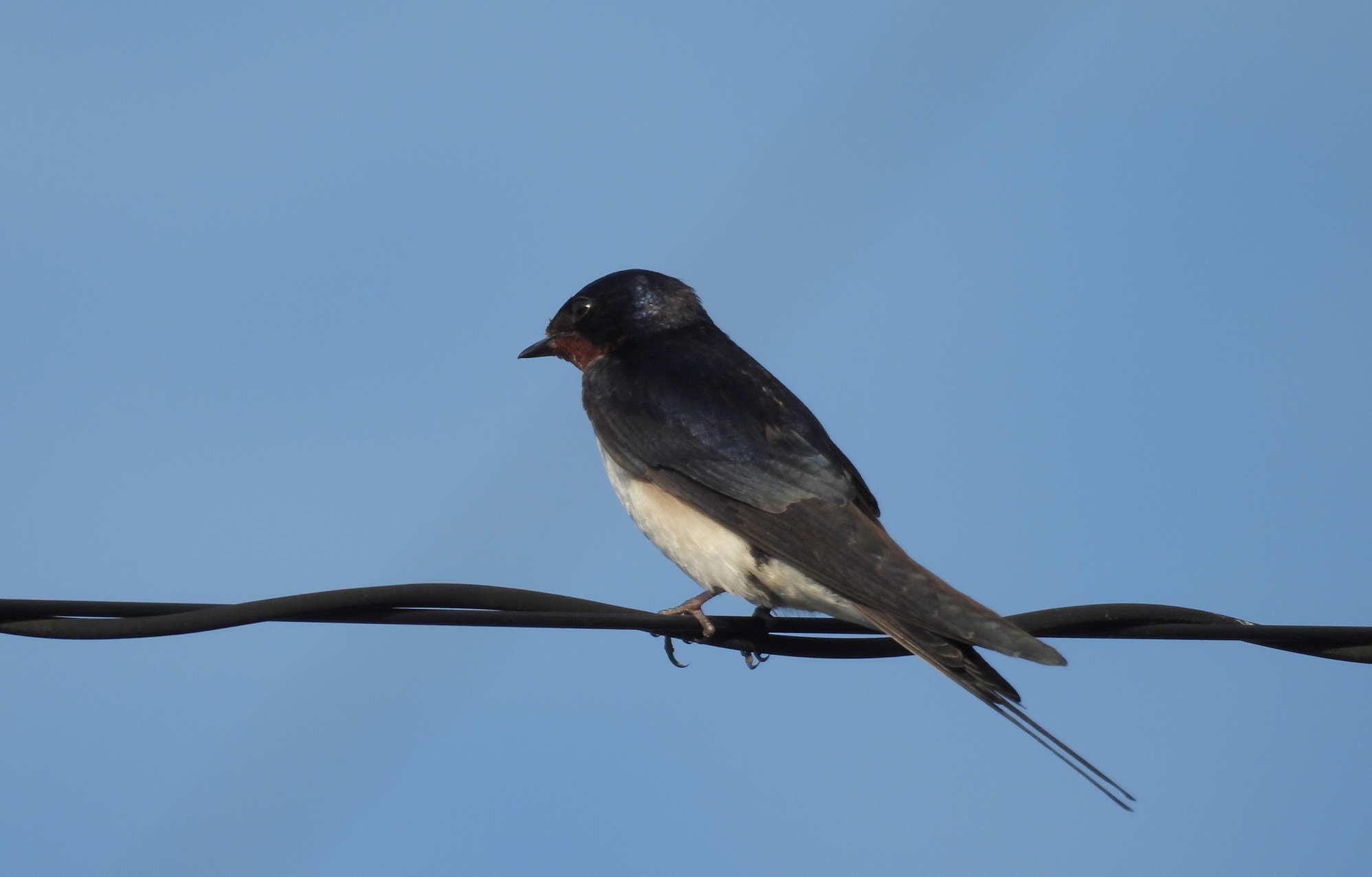 Thumbnail of post image 115