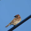 Thumbnail of related posts 046