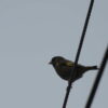 Thumbnail of related posts 121