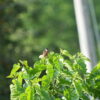 Thumbnail of related posts 075
