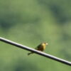 Thumbnail of related posts 150