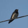 Thumbnail of related posts 012