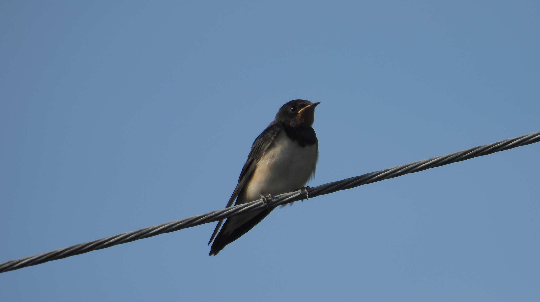 Thumbnail of post image 131